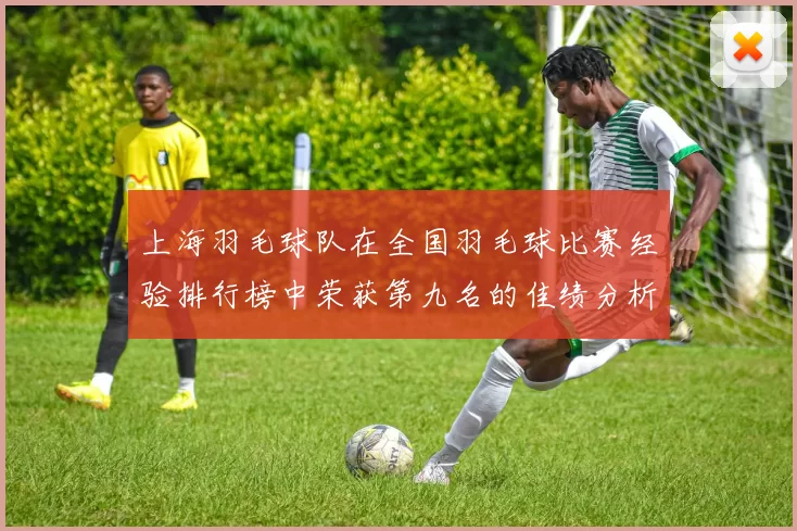 上海羽毛球队在全国羽毛球比赛经验排行榜中荣获第九名的佳绩分析