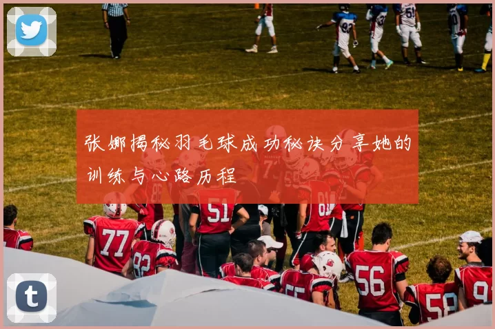 张娜揭秘羽毛球成功秘诀分享她的训练与心路历程